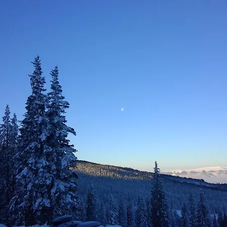 Mini-hôtel Goeslerhuette *