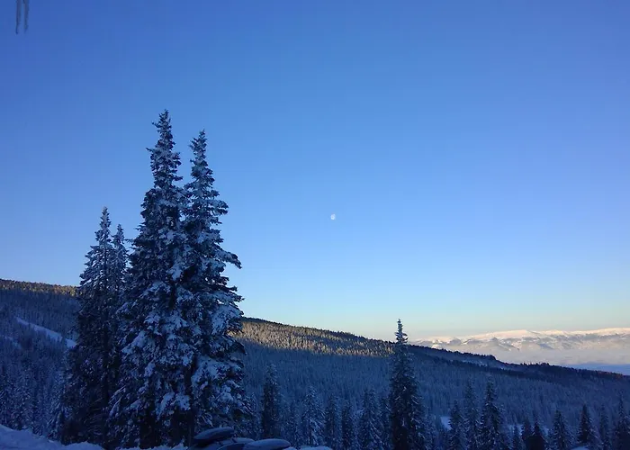 אורחן Goeslerhuette *