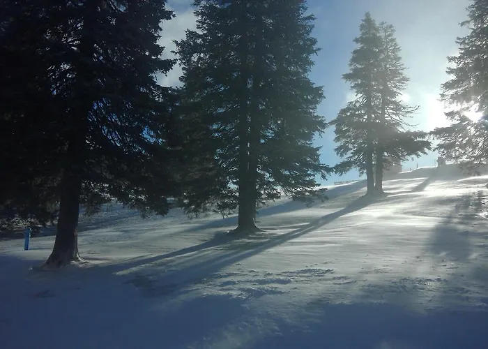 Goeslerhuette אורחן *