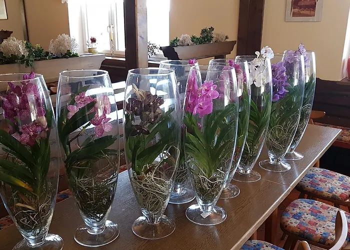 Goeslerhuette * וולפסברג